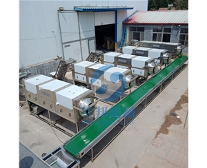 物理工艺 核桃仁去皮机 核桃仁去衣机