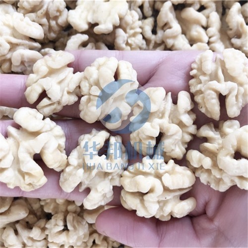 全自动核桃仁加工流水线