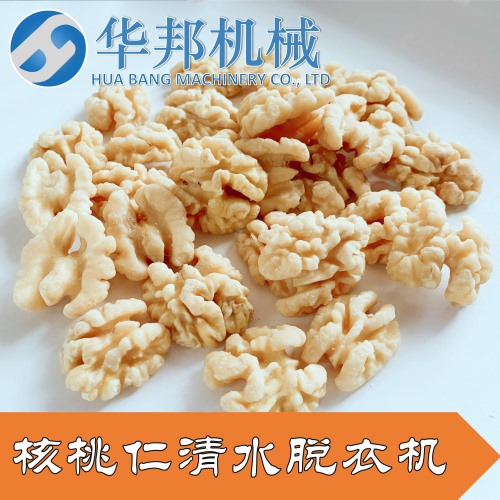 核桃仁去皮机 核桃仁快速去皮机器 免费试机