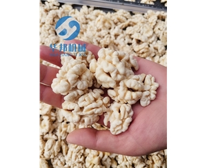 华邦机械/核桃仁去皮机/去皮核桃仁设备