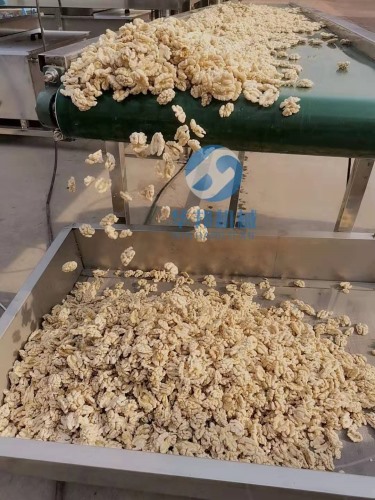 物理工艺 核桃仁去皮机