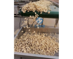 物理工艺 核桃仁去皮机