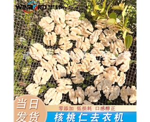 0防腐剂核桃仁去皮机 0添加人工色素 物理核桃仁脱皮机 